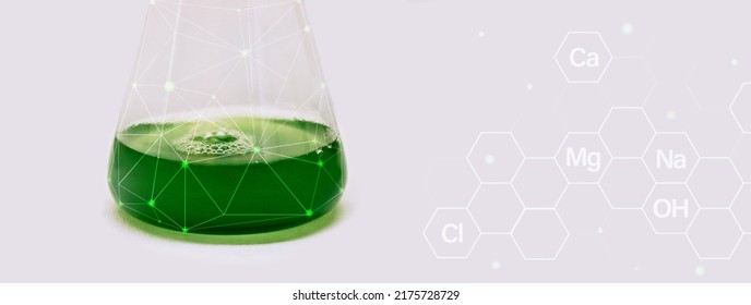 Algae Research In Laboratories, Biotechnology Science Concept, Marine Plankton Or Microalgae Culture Into Glassware Flask