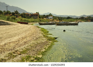 Algal Bloom, Green Algae Bloom, Lake Pollution, Boat, Lake, Lake Bafa, Mugla