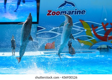 Algarve, Portugal - June 4, 2016: Dolphinarium - Show With Dolphins In Zoo