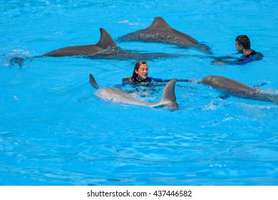 Algarve, Portugal - June 4, 2016: Dolphinarium - Show With Dolphins In Zoo
