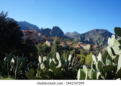 Kabylie Images Stock Photos Vectors Shutterstock