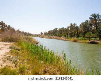 Algerian Sahara Desert Oasis Of Thaghit Bechar