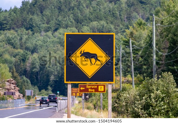 Algonquin Provincial\
Park, Ontario, Canada - August 18, 2019: Warning sign for Moose\
crossing along highway\
60