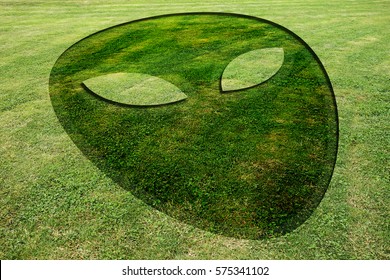 Alien Face Fake Crop Circle In The Meadow    