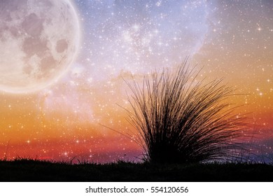 Alien landscape of beach grass flexing in the wind at sunset with galaxy stars and huge planet in the sky. Elements of this image are furnished by NASA