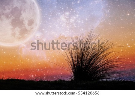 Alien landscape of beach grass flexing in the wind at sunset with galaxy stars and huge planet in the sky. Elements of this image are furnished by NASA