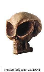 Alien  skull isolated on white