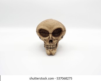 Alien skull and white background.