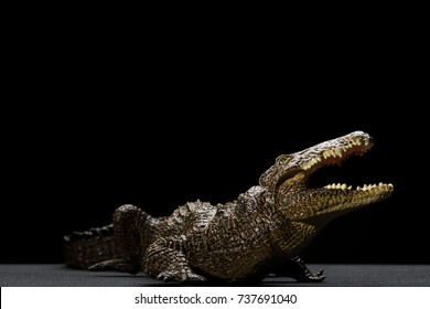 Aligator Toy In A Black Background