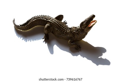 Aligator Toy On A White Background