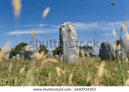 Alignment of menhirs in Carnac in a field.