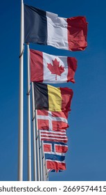 Alignment of national flags of the Allies of the Second World War along the beach