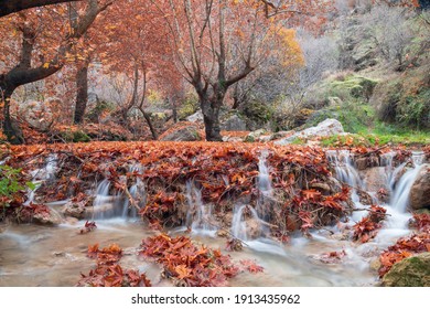 Alka Cascades In Kurdistan Region, Iraq