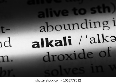 Alkali Word In A Dictionary. Alkali Concept.