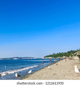 Alki Beach In Seattle