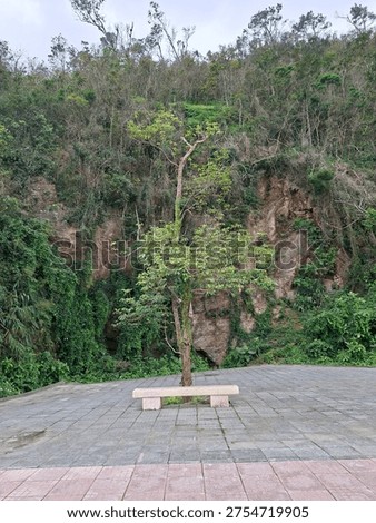 All alone to himself tree