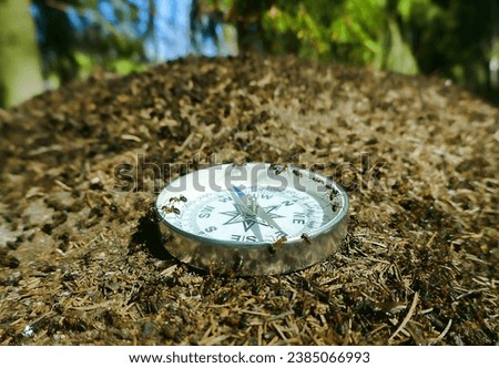 All animals are well oriented in space (wayfinding), as they have an internal compass. Ants crawl on the compass. The concept of spatial orientation (spatialization)