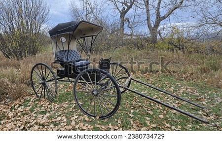 All black 1906 Doctor's Buggy single horse drawn carriage outdoors in grass near trees.