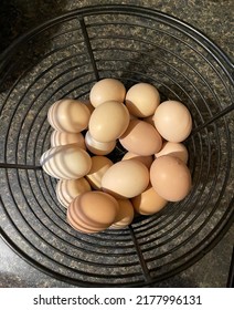 All The Eggs In One Basket