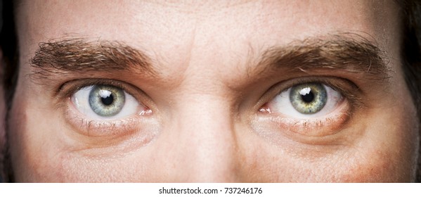 it's all in the eyes - Powered by Shutterstock