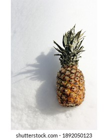 All good things which exist are the fruits of originality.