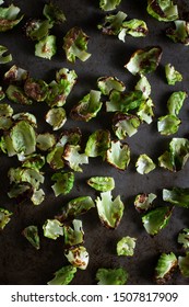 All The Leaves Of Brussels Sprout Spread Out On A Sheet Pan And Roasted Until Crispy To Be Eaten As An Alternative To Greasy Potato Chips. 