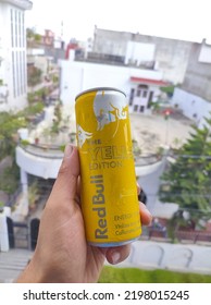 The All New Tropical Flavour Of Redbull