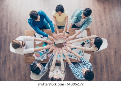 All for one! And one for all! Top up of colleagues putting their hands next to each other in a circle at their work place. All are wearing casual clothes.Team work and success concept