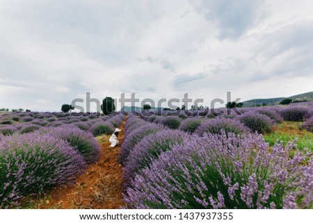 Similar – #A# Purple Field