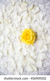 All of rose ,stem ,rose flowers's petals on white background of white rose-pattern fabric.
For beautiful background / wedding event or special.