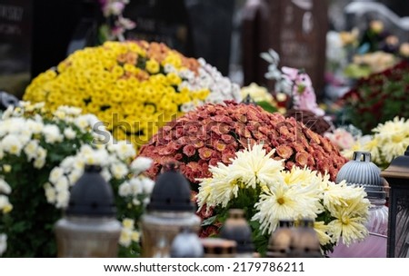 All Saints' Day and burning candles next to flowers on the graves. Candles on graves symbolize the memory of the dead on November 1. Catholic cemetery during All Saints' Day.