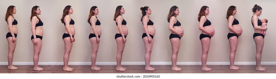 pregnant belly stages by week