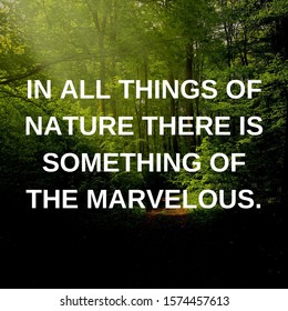 25 In all things of nature there is something of the marvelous Images ...