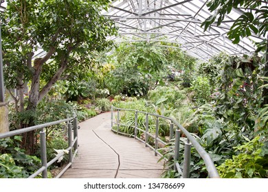 Allan Gardens In Toronto