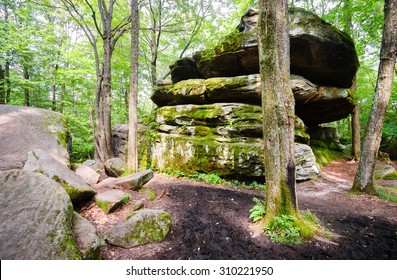 Allegany State Park