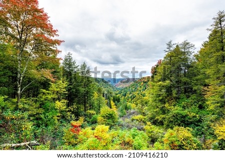 Allegheny mountains in autumn fall season with green foliage turning gold red and yellow at Lindy Point overlook in Blackwater Falls State Park in West Virginia