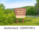 Allegheny National Forest Pa Kinzua point mountain lake, copy space graphic resources, summer activity