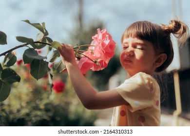 
Allergic Child Smelling A Pink Rose In Blooming Season. Funny Girl Unhappy With The Scent Of Garden Flowers In Summertime 
