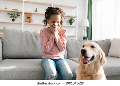 Allergic Reaction To Fur. Sick Black Girl Sneezing And Sniffle Holding Paper Tissue. Ill Kid Having Rhinitis Suffering From Running Nose Caused By Her Pet Dog, Sitting On Sofa At Home, Free Space