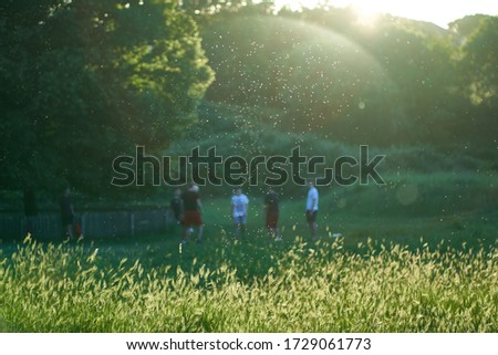 Allergies or Virus Spread: Visible Cloud of Pollen and Particles at Sunset in Front of a Group of Teenagers Playing in a Public Park. Flare Gives the Impression of a Sphere Lingering Over Them