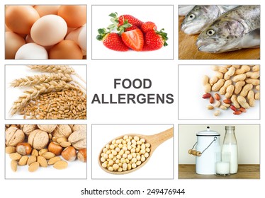 Allergy food concept. Food allergens as eggs, milk, fruit, tree nuts, peanut, soy, wheat and fish. Text "food allergens" easy to remove 