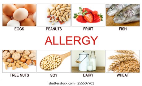 5,548 Wheat Allergy Stock Photos, Images & Photography | Shutterstock