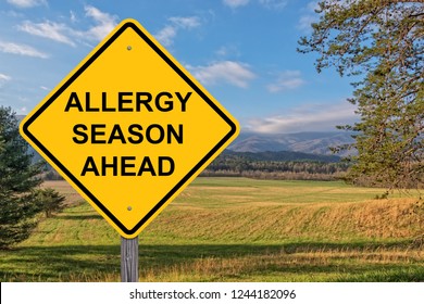 Allergy Season Ahead Caution Sign With Springtime Background