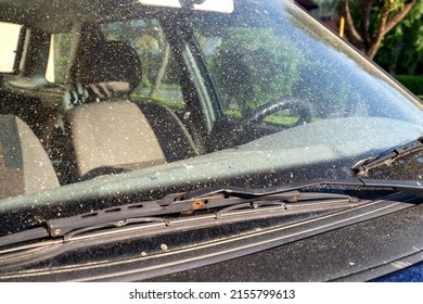 Allergy Season. Car Windshield Covered By Tree Pollen In Spring.