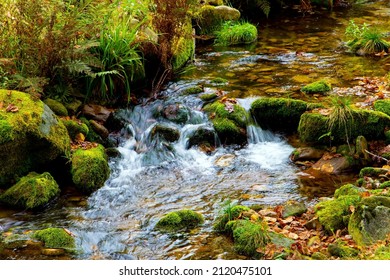 Allerheiligen waterfall in the Black Forest. Germany. Highest waterfall in Germany. Picturesque high-water cascading waterfall. Autumn cloudy day - Powered by Shutterstock