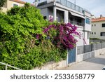 alley, alleyway, architecture, area, asia, asian, blue, buildings, central, cities, city, cramped, crowded, district 1, district one, doors, doorway, flower, gates, green, ho chi minh city, homes, 