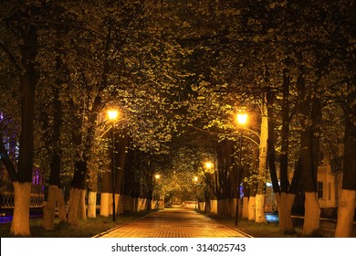 Alley Autumn City Landscape Night Rain