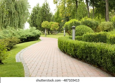 Alley In Beautiful Green Park