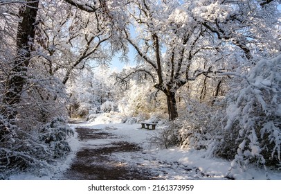 Alley with a bench in a winter snow park. Park bench in winter snow scene. Winter park bench in snow. Winter snow scene
