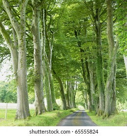 Alley, County Fermanagh, Northern Ireland